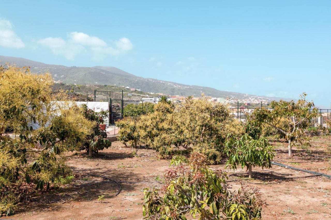 Casa Quemahierro 1 Villa อิคอดเดลอสวินอส ภายนอก รูปภาพ